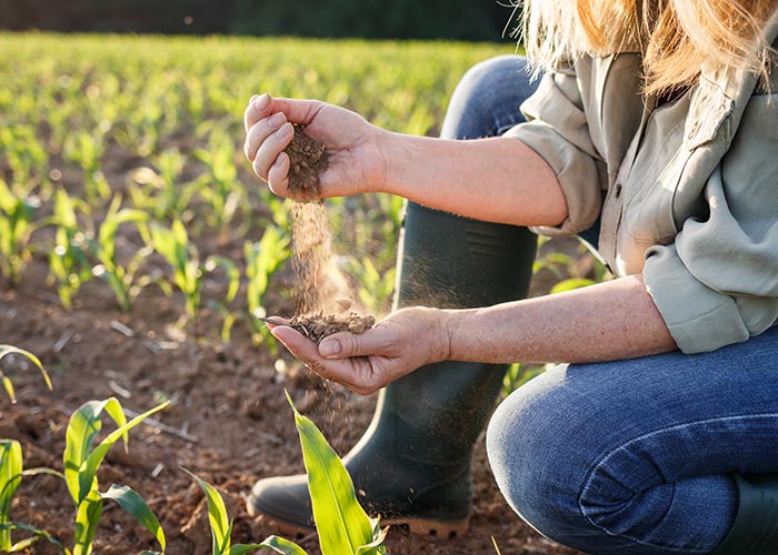 conservazione-della-flora-batterica-con-attrezzi-ecologici-verona conservazione-della-flora-batterica-con-attrezzi-ecologici-verona