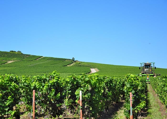 riduzione-dell-inquinamento-acustico-agricoltura-biologica-verona riduzione-dell-inquinamento-acustico-agricoltura-biologica-verona